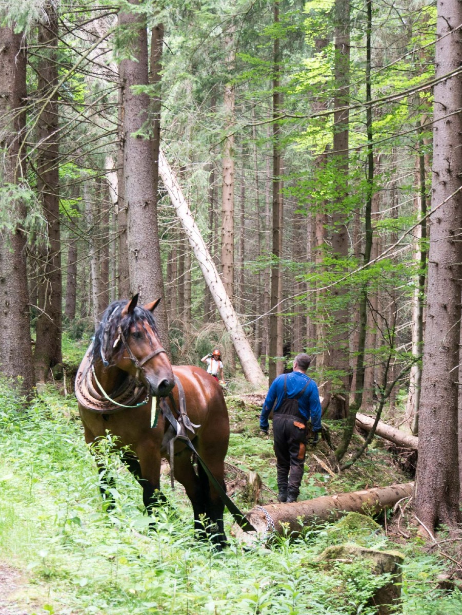 220802 spindleruv mlyn en omgeving 0019  220802 spindleruv mlyn en omgeving 0019