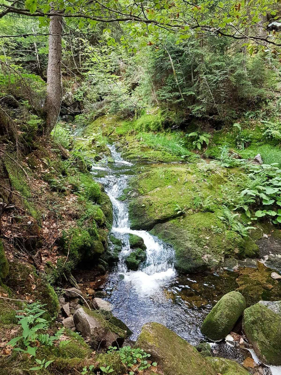 220802 spindleruv mlyn en omgeving 0021 2022 08 02.57.55 220802 spindleruv mlyn en omgeving 0021 2022 08 02.57.55