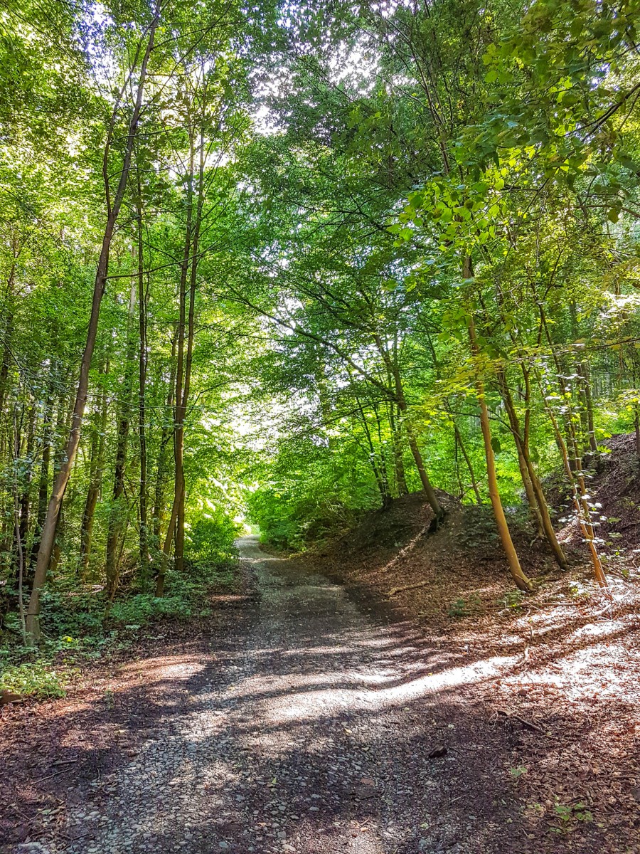 220726 stolberg josephskreuz omgeving 0007 2022 07 26.02.07 220726 stolberg josephskreuz omgeving 0007 2022 07 26.02.07