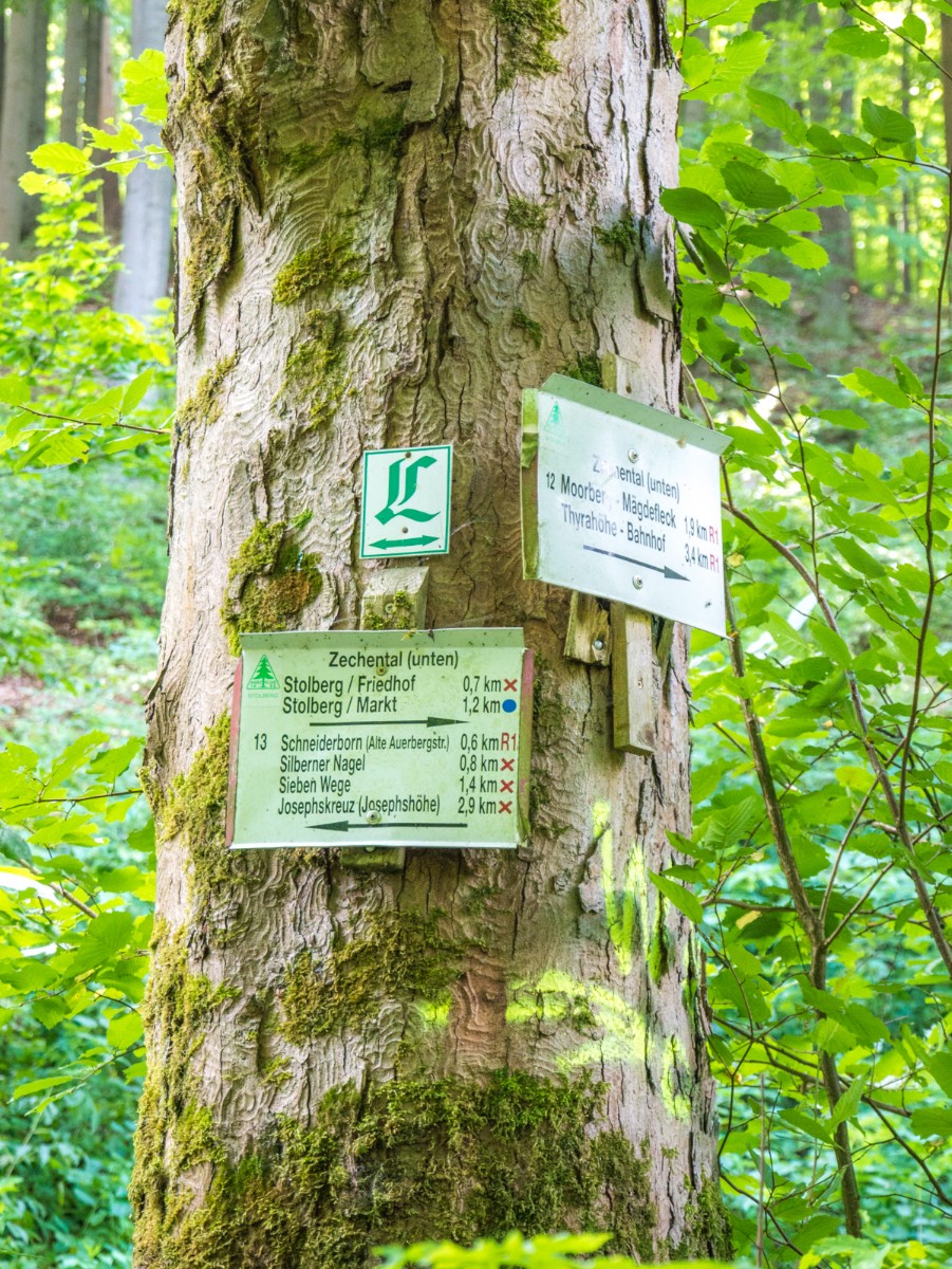 220726 stolberg josephskreuz omgeving 0010  220726 stolberg josephskreuz omgeving 0010