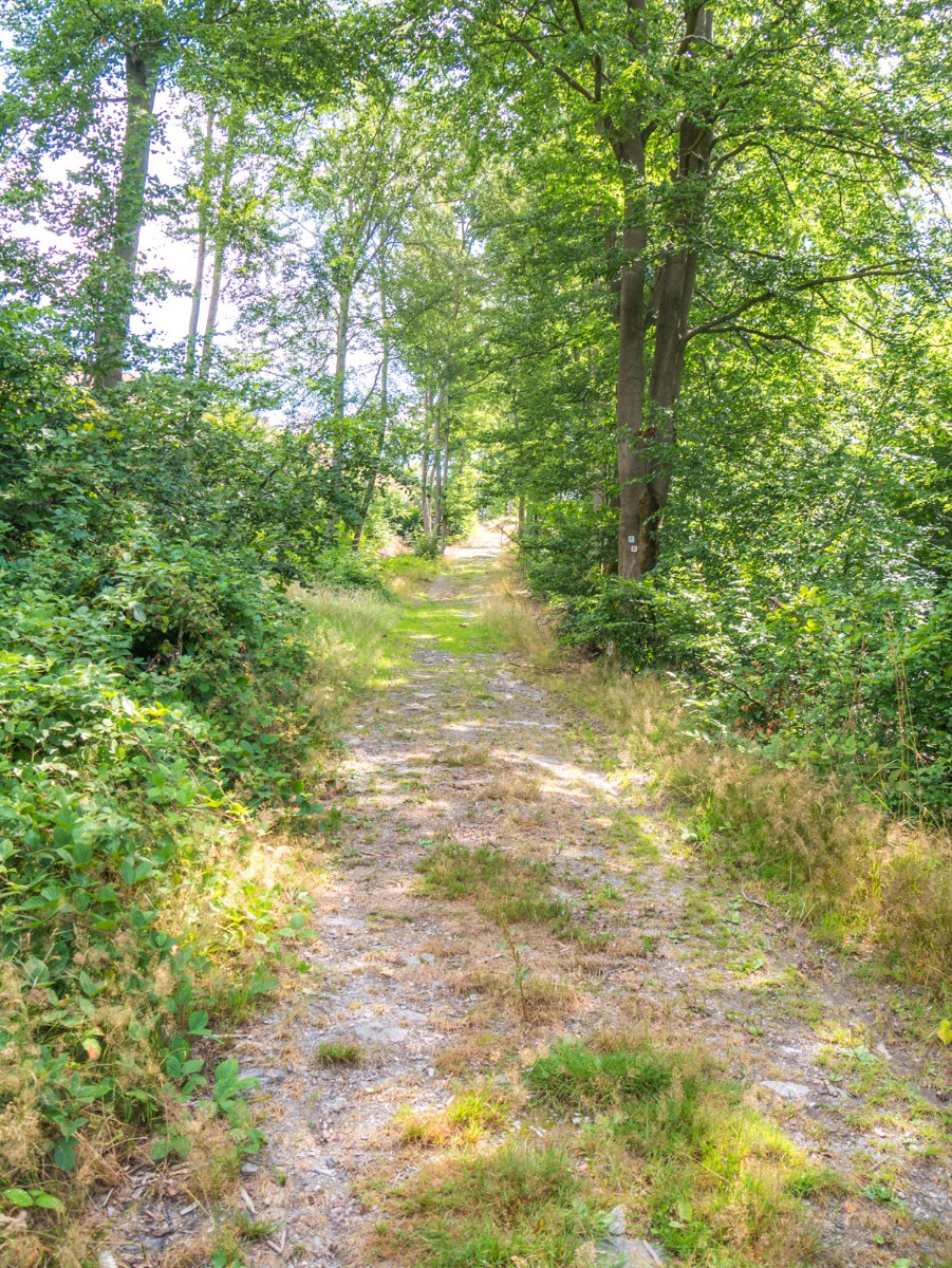 220726 stolberg josephskreuz omgeving 0012  220726 stolberg josephskreuz omgeving 0012