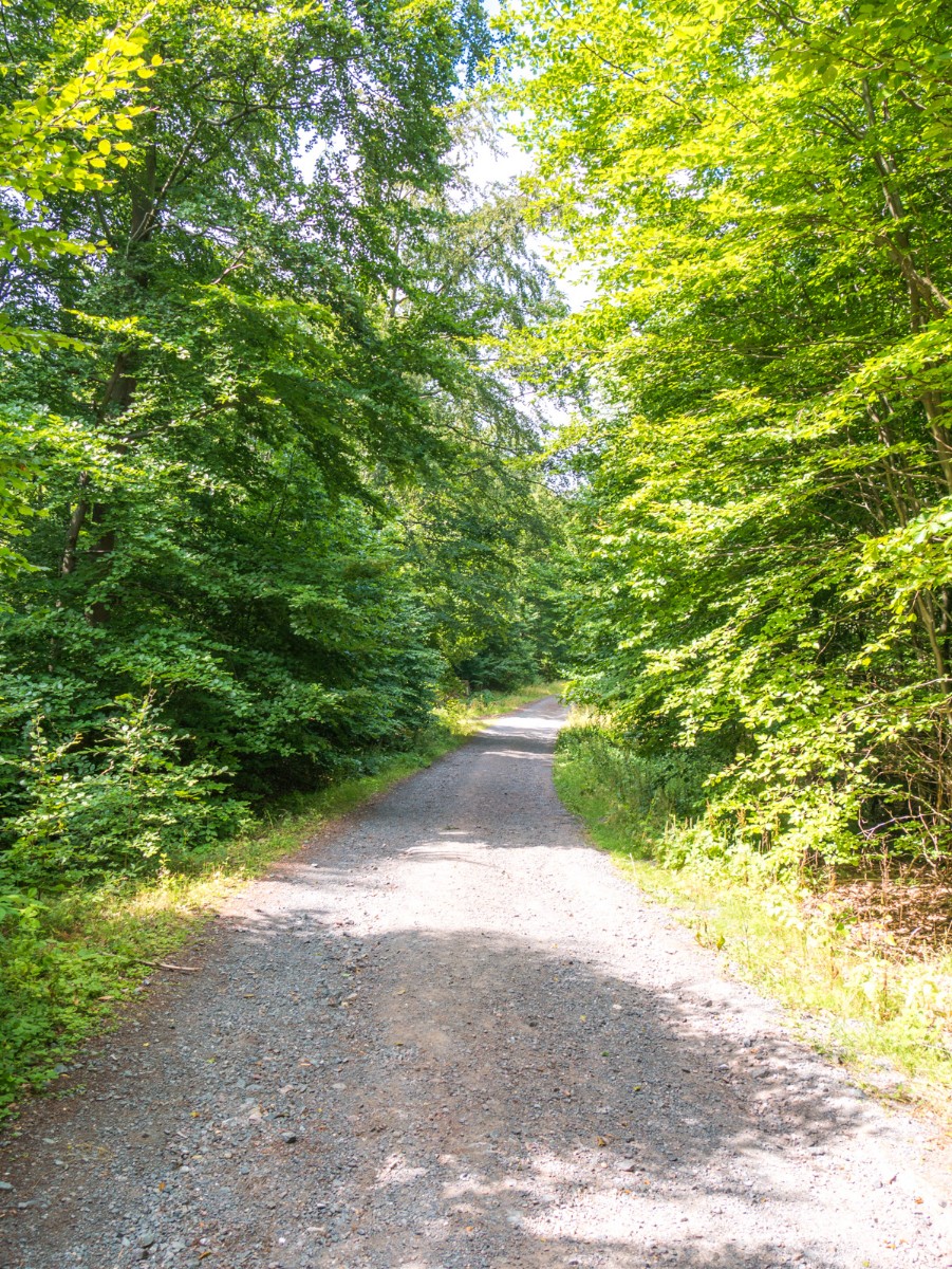 220726 stolberg josephskreuz omgeving 0017  220726 stolberg josephskreuz omgeving 0017