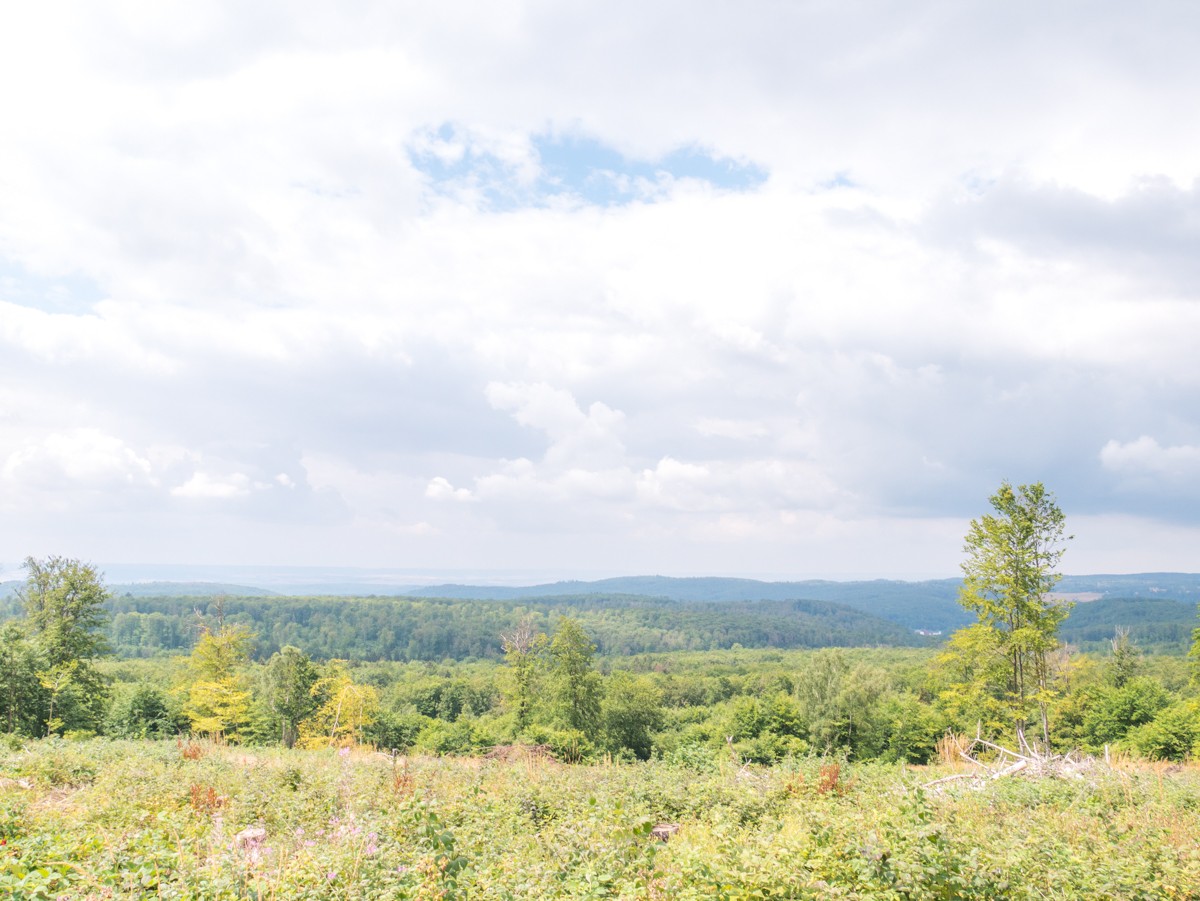 220726 stolberg josephskreuz omgeving 0020  220726 stolberg josephskreuz omgeving 0020