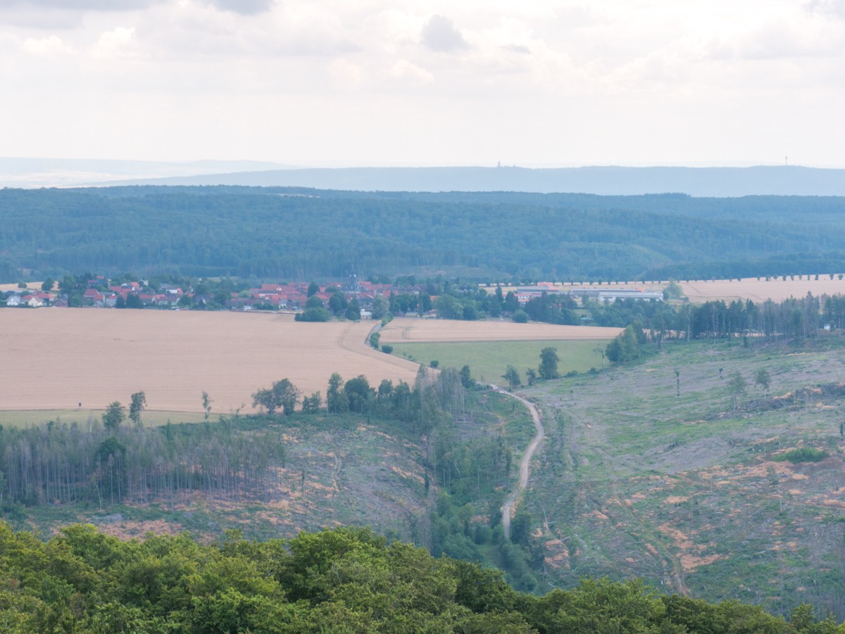 220726 stolberg josephskreuz omgeving 0038  220726 stolberg josephskreuz omgeving 0038