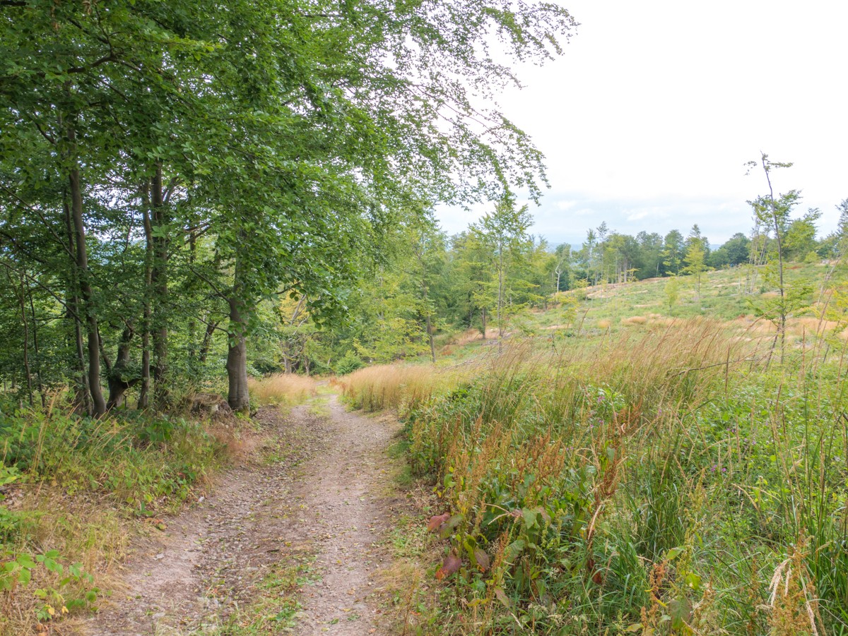 220726 stolberg josephskreuz omgeving 0054  220726 stolberg josephskreuz omgeving 0054