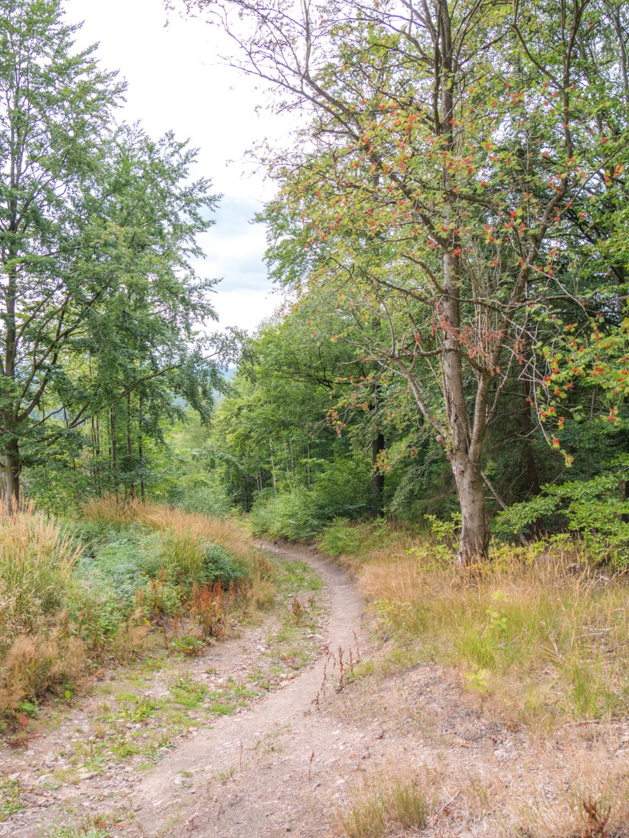 220726 stolberg josephskreuz omgeving 0055  220726 stolberg josephskreuz omgeving 0055