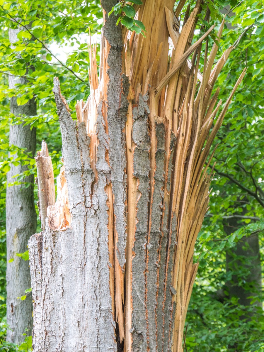 220726 stolberg josephskreuz omgeving 0062  220726 stolberg josephskreuz omgeving 0062