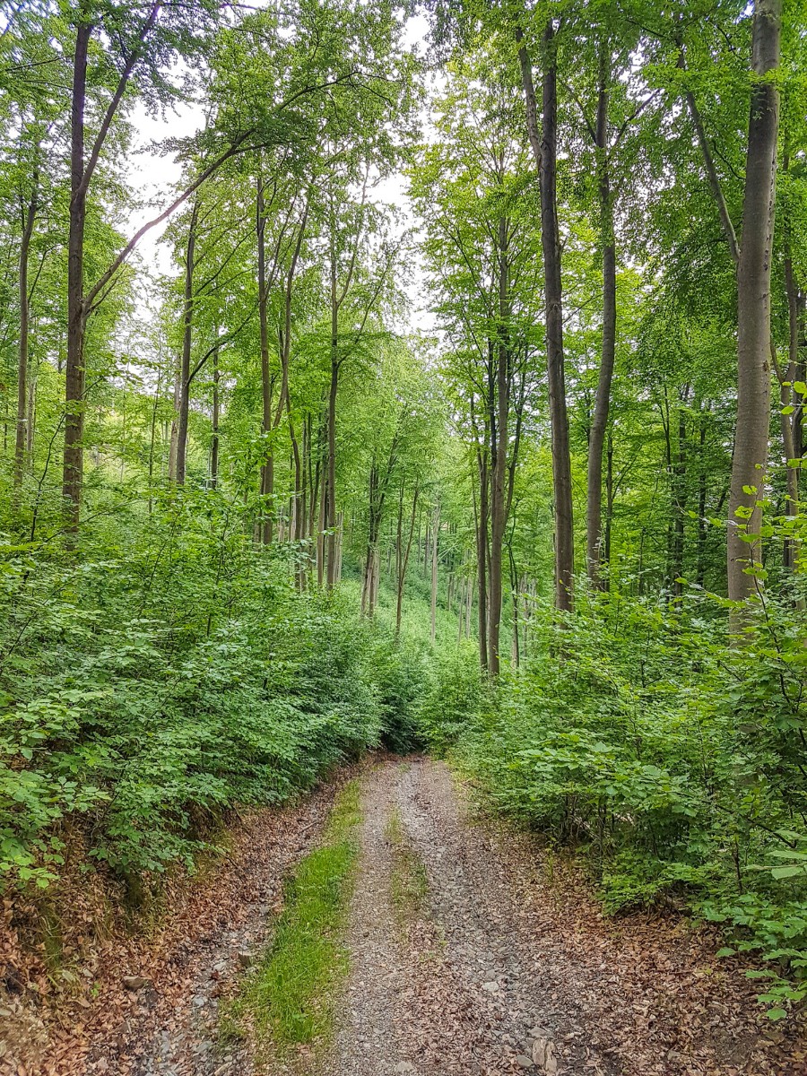 220726 stolberg josephskreuz omgeving 0076 2022 07 26.25.39 220726 stolberg josephskreuz omgeving 0076 2022 07 26.25.39