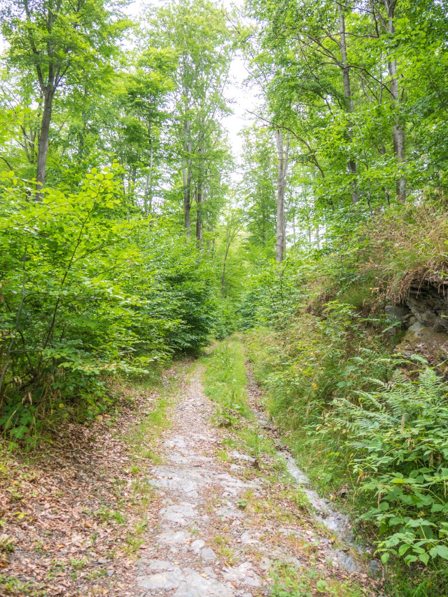 220726 stolberg josephskreuz omgeving 0078  220726 stolberg josephskreuz omgeving 0078