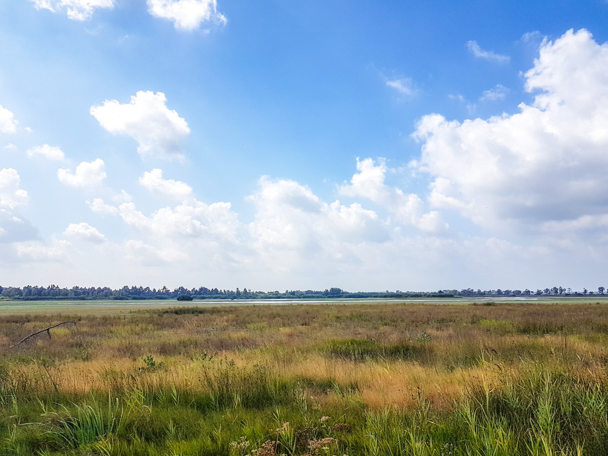 220820 strabrechtse heide 0006 2022 08 20.45.28 220820 strabrechtse heide 0006 2022 08 20.45.28