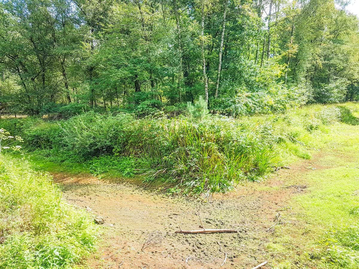 220820 strabrechtse heide 0018 2022 08 20.57.22 220820 strabrechtse heide 0018 2022 08 20.57.22