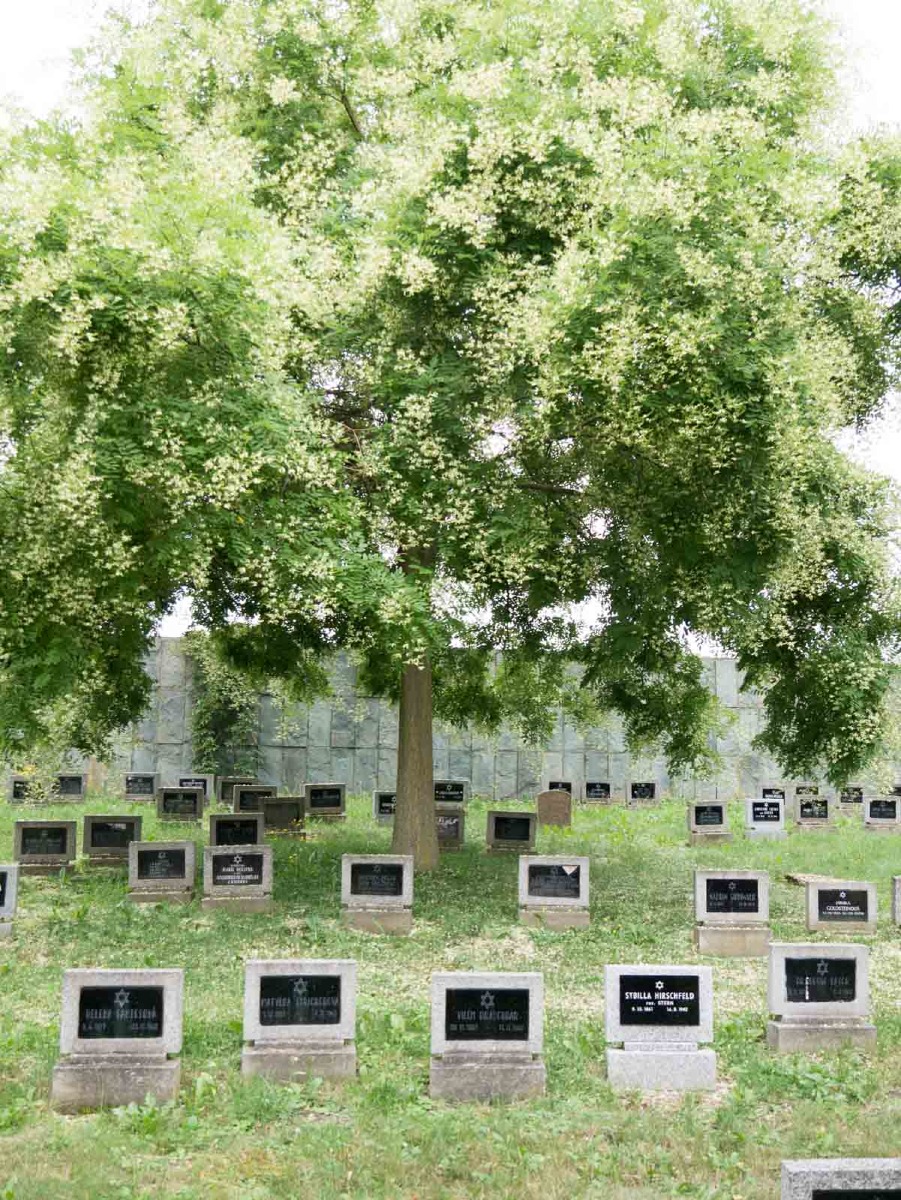 220730 theresienstadt columbarium begraafplaats 0023 220730 theresienstadt columbarium begraafplaats 0023