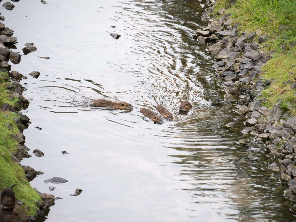 220730 theresienstadt grote fort 0031 220730 theresienstadt grote fort 0031