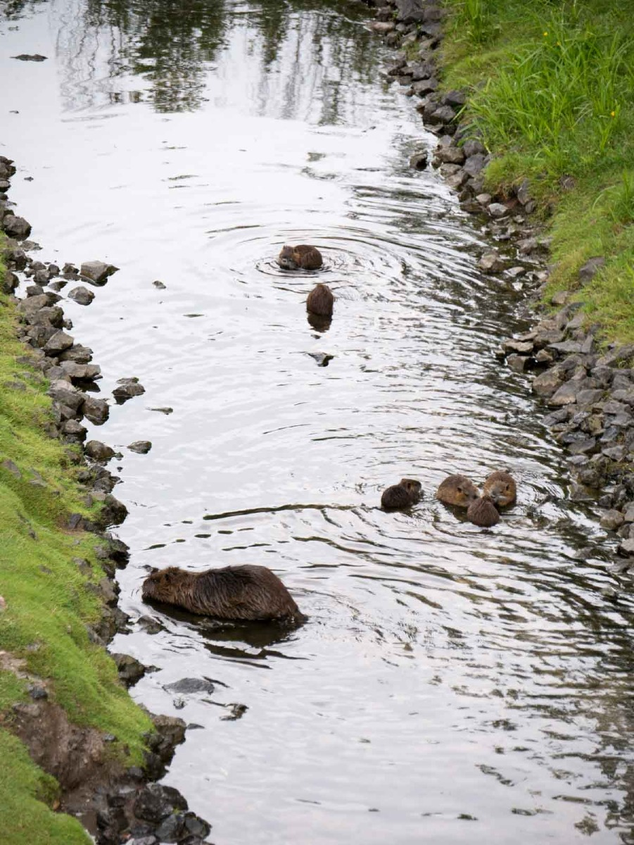220730 theresienstadt grote fort 0032 220730 theresienstadt grote fort 0032