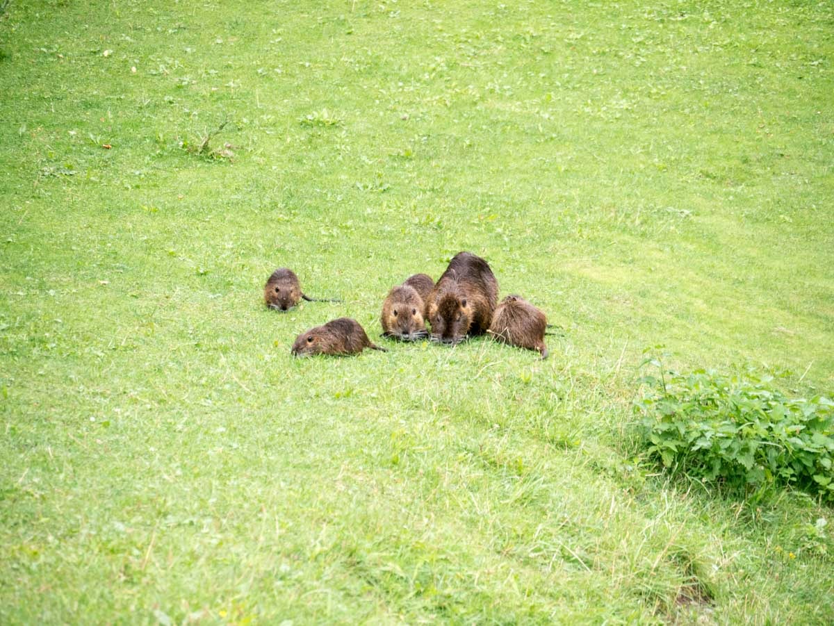 220730 theresienstadt grote fort 0033 220730 theresienstadt grote fort 0033