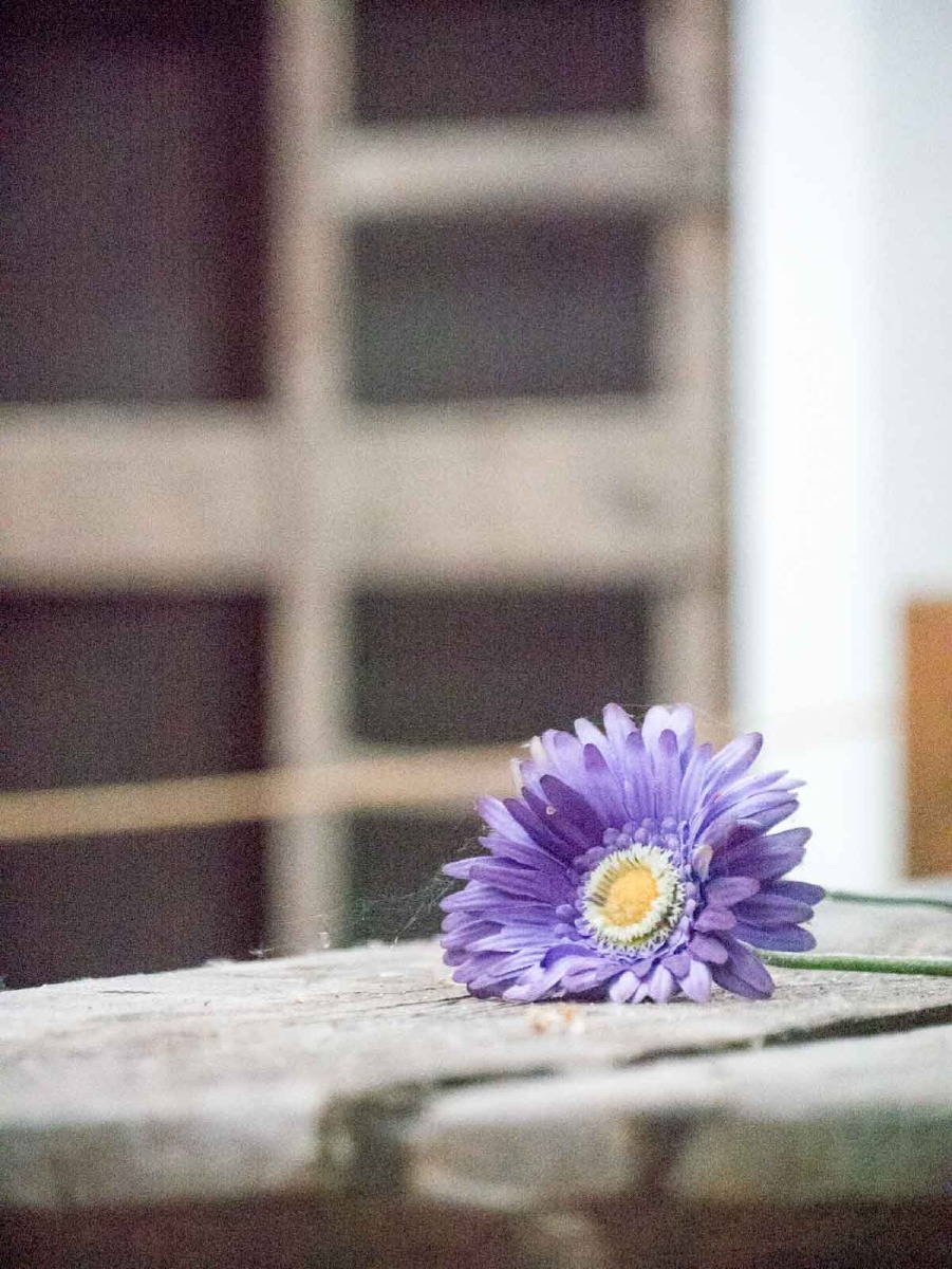 220730 theresienstadt kleine fort 0069 220730 theresienstadt kleine fort 0069