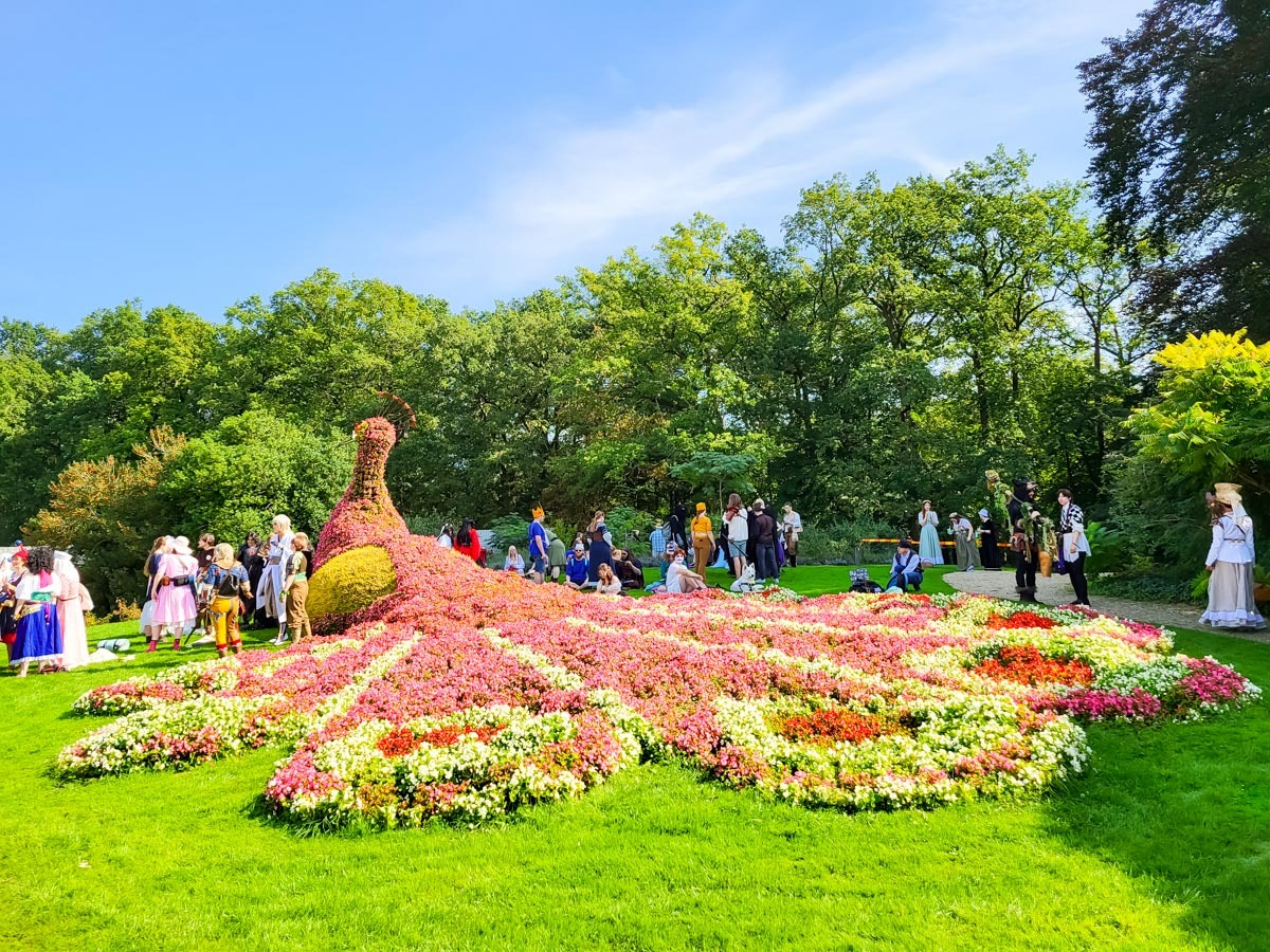 0042 elfia arcen 2023 09 16.29.59 0042 elfia arcen 2023 09 16.29.59