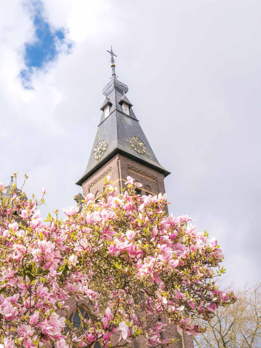 0004 bloesem 0004 bloesem