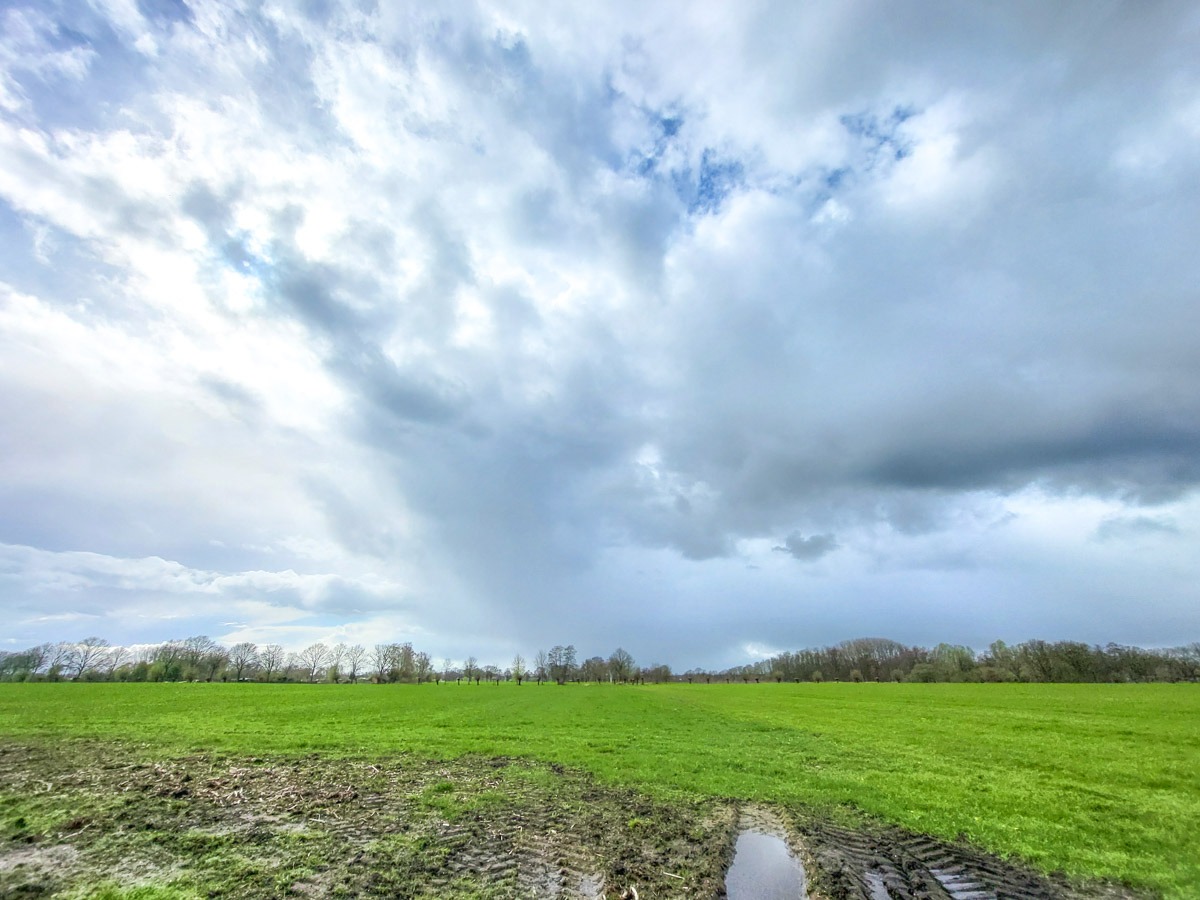 0009 bloesem 2024 03 23.02.29 0009 bloesem 2024 03 23.02.29