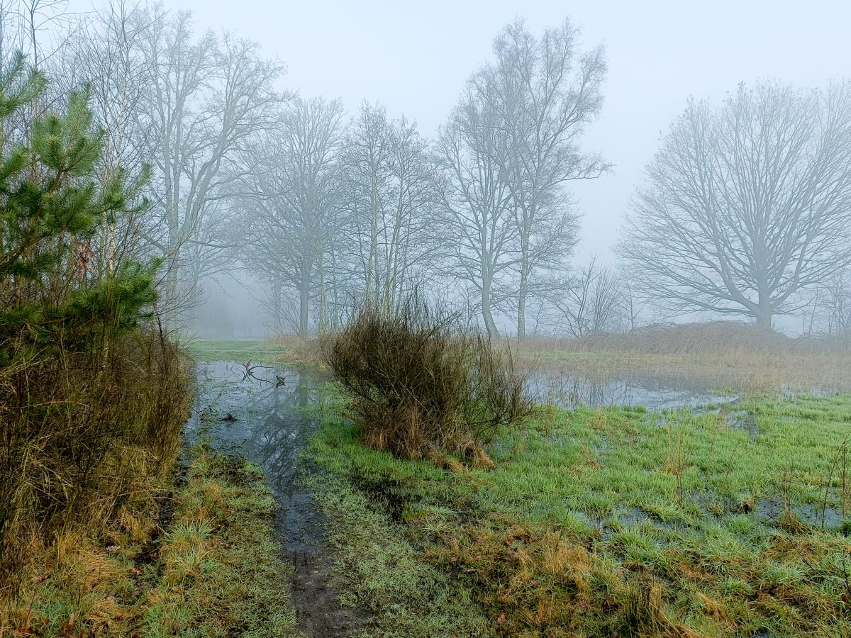 0010 maashorst img20240306085808 0010 maashorst img20240306085808