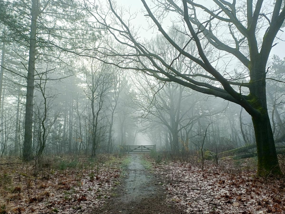 0012 maashorst img20240306090507 0012 maashorst img20240306090507