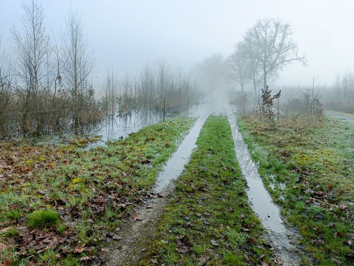 0013 maashorst img20240306091337 0013 maashorst img20240306091337