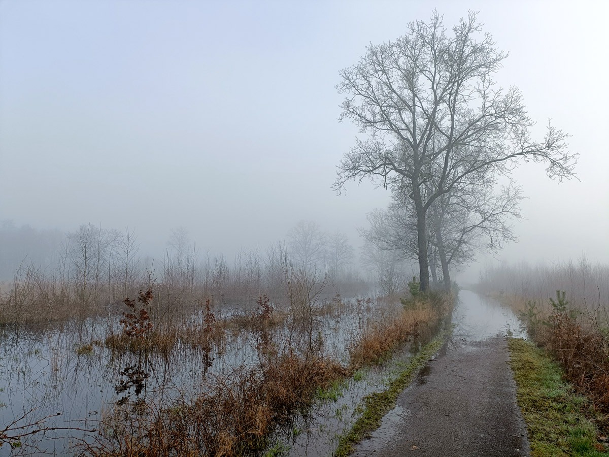 0017 maashorst img20240306091500 0017 maashorst img20240306091500