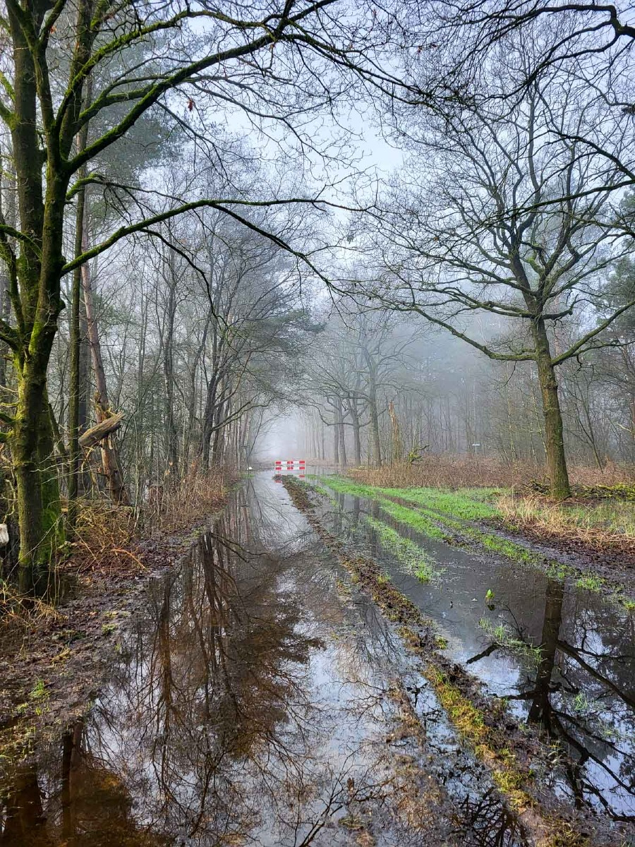 0021 maashorst 2024 03 06.23.11 0021 maashorst 2024 03 06.23.11