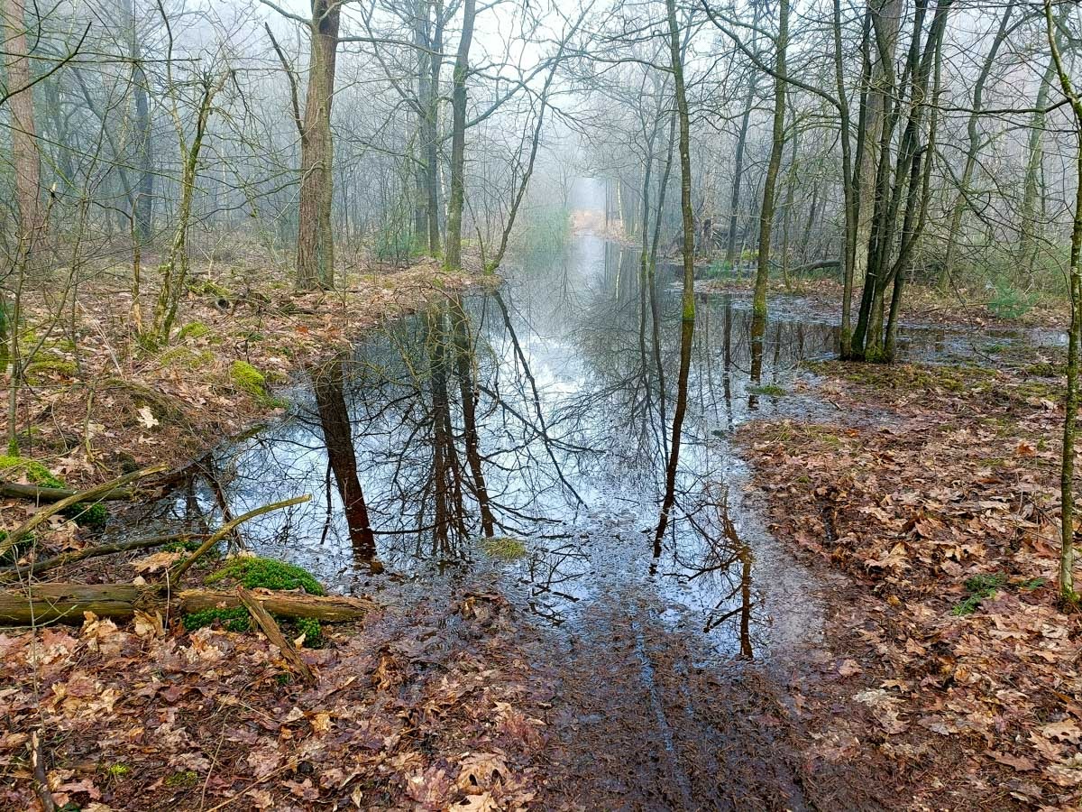 0027 maashorst img20240306093008 0027 maashorst img20240306093008