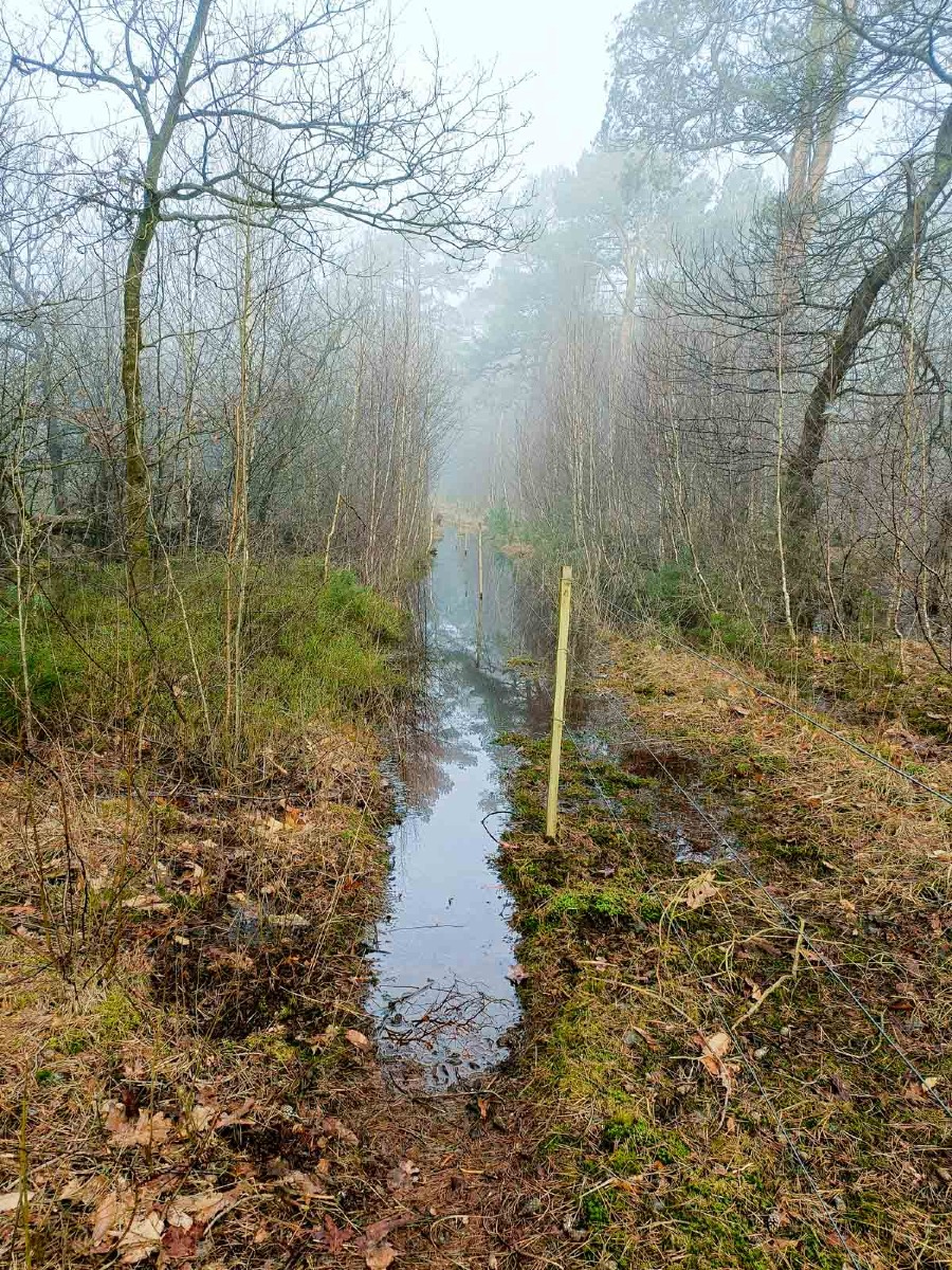 0028 maashorst img20240306093104 0028 maashorst img20240306093104