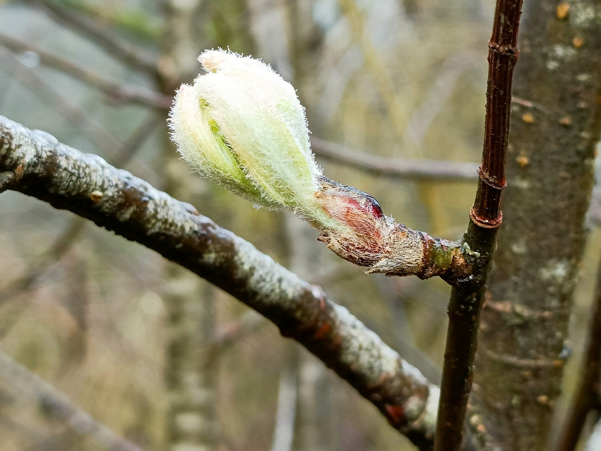 0030 maashorst img20240306093322 0030 maashorst img20240306093322