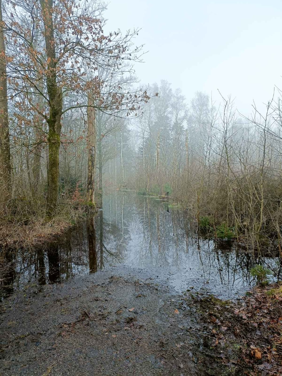 0033 maashorst img20240306094302 0033 maashorst img20240306094302