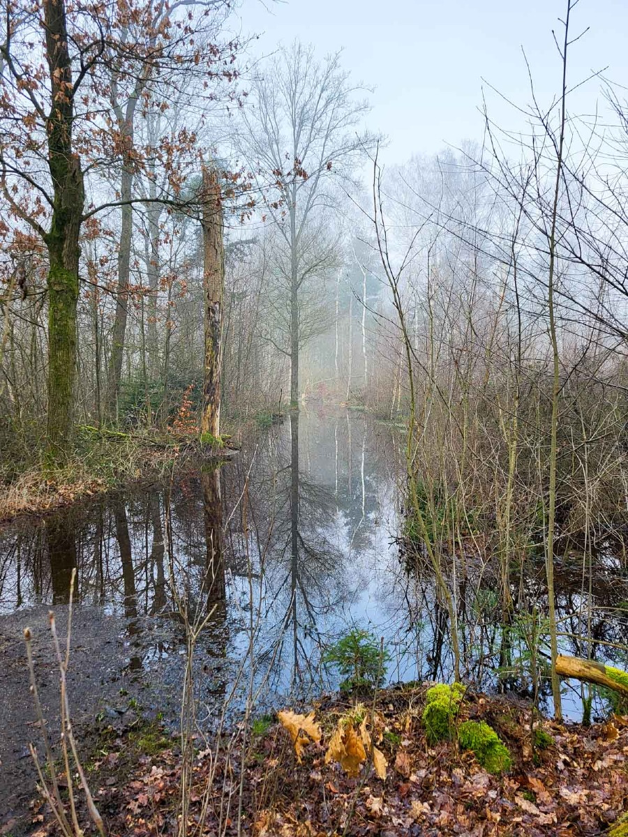 0034 maashorst 2024 03 06.43.21 0034 maashorst 2024 03 06.43.21