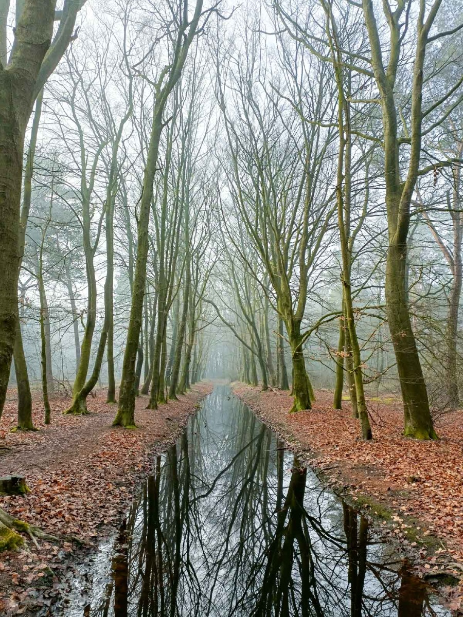 0035 maashorst img20240306094635 0035 maashorst img20240306094635