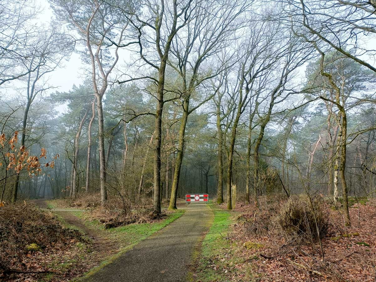 0042 maashorst img20240306095913 0042 maashorst img20240306095913