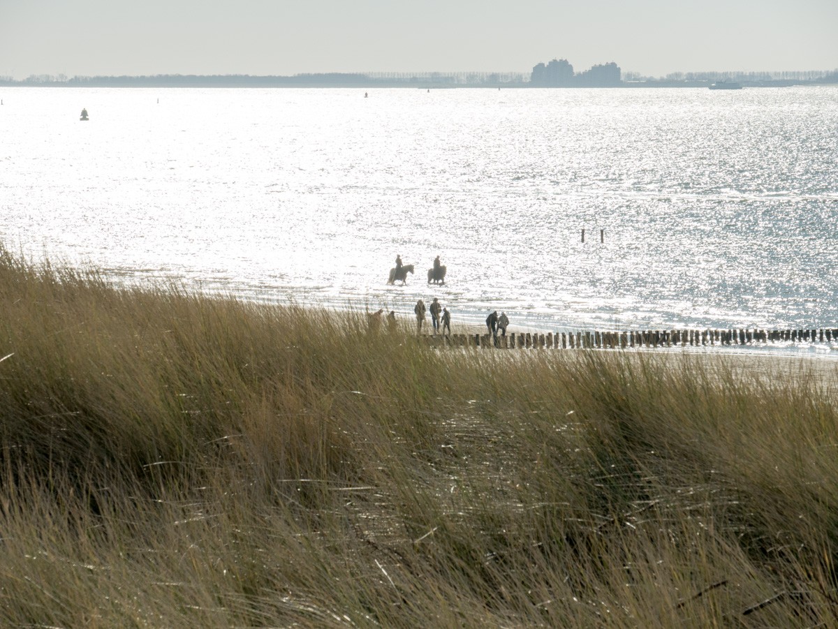 westduin vlissingen 013 1250671 westduin vlissingen 013 1250671