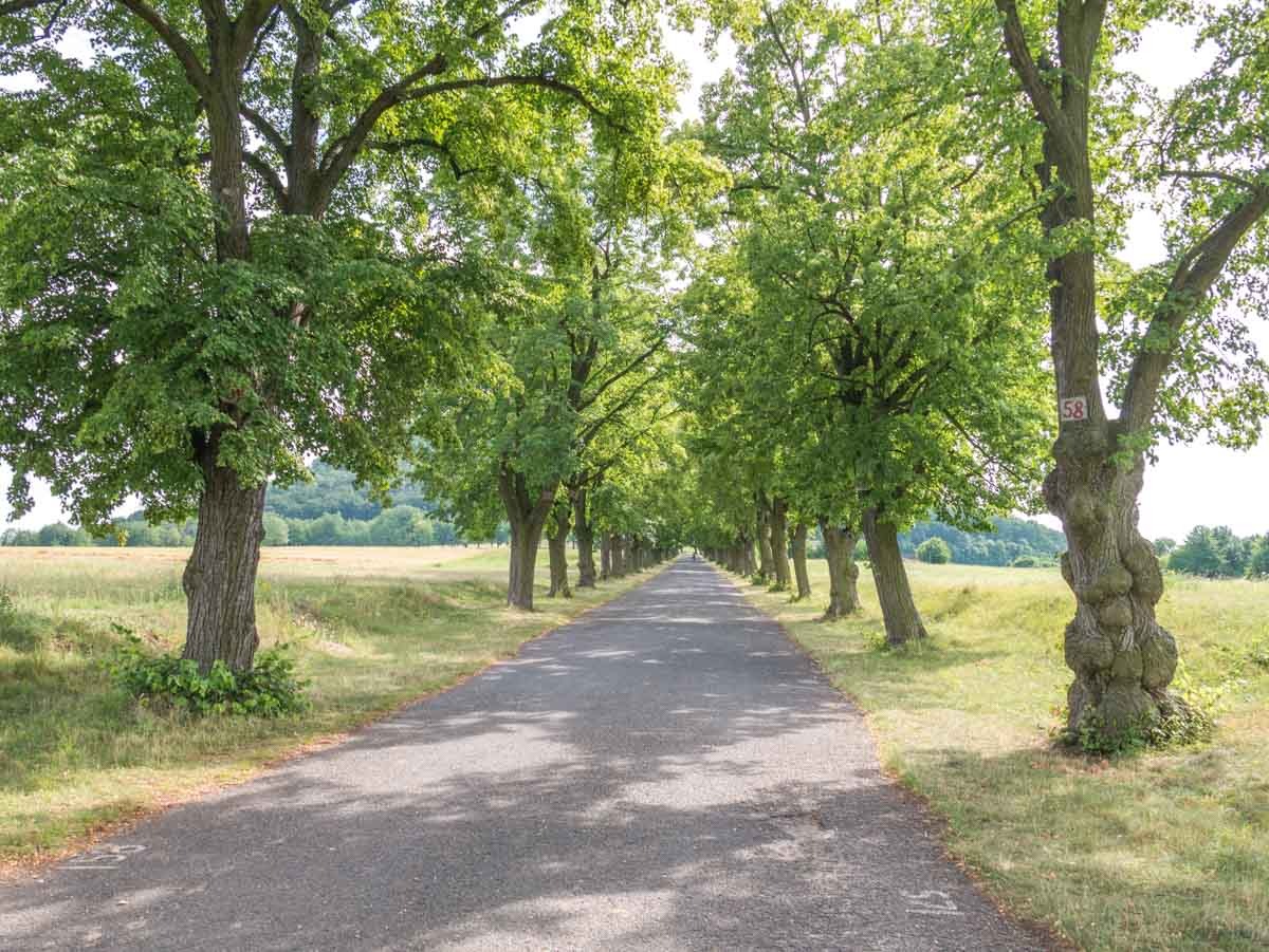 220729 hora rip  1270697 220729 hora rip  1270697