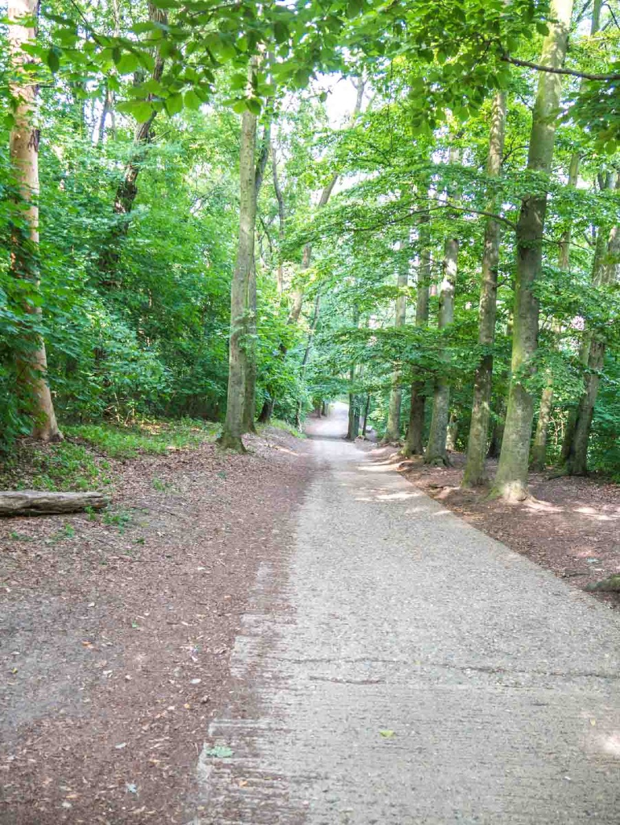 220729 hora rip  1270700 220729 hora rip  1270700