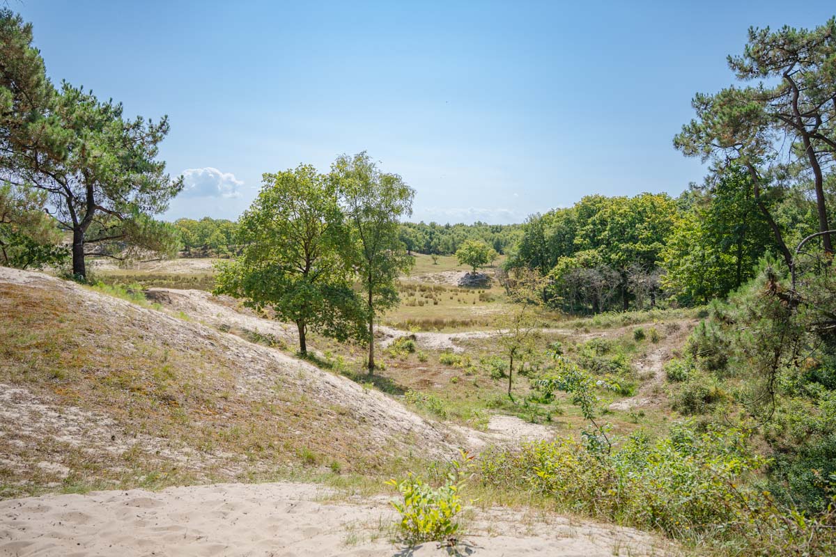 Oranjezon: wandelen tussen zee en stilte