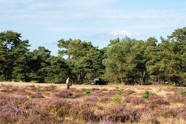 Nationaal park De Hoge Veluwe Nationaal park De Hoge Veluwe