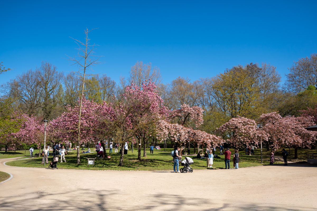 De Japanse Tuin @ Hasselt