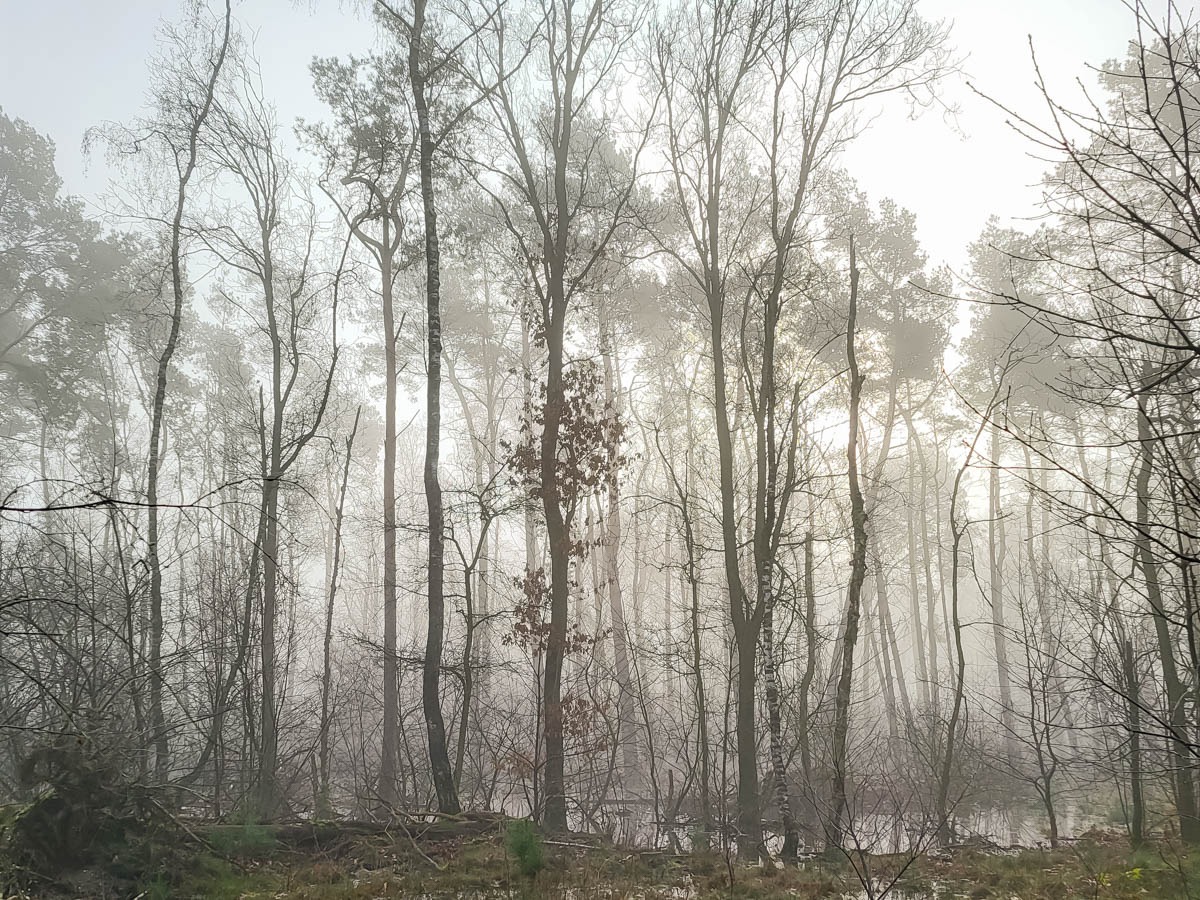 Mist & water